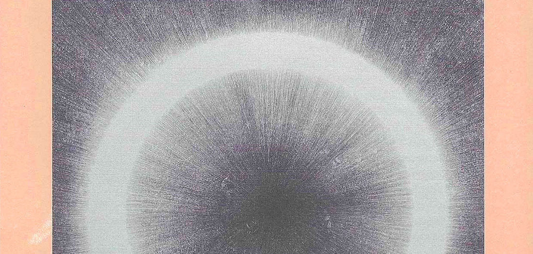 Lyon Contemporary Art Biennale | Ji Songlin | Solo show « Quand la montagne passe ? 山飘过？»