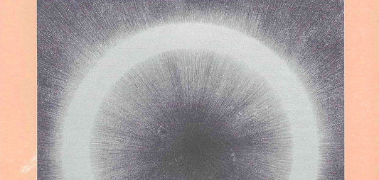 Lyon Contemporary Art Biennale | Ji Songlin | Solo show « Quand la montagne passe ? 山飘过？»