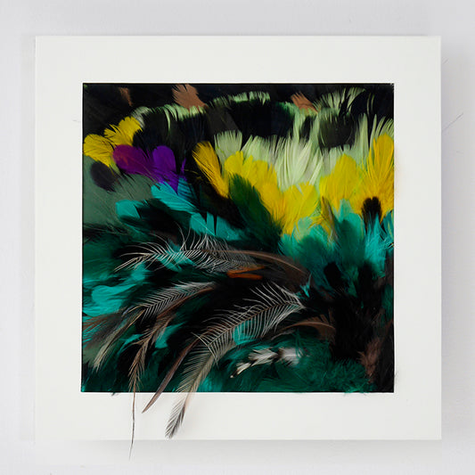 Paysage 1