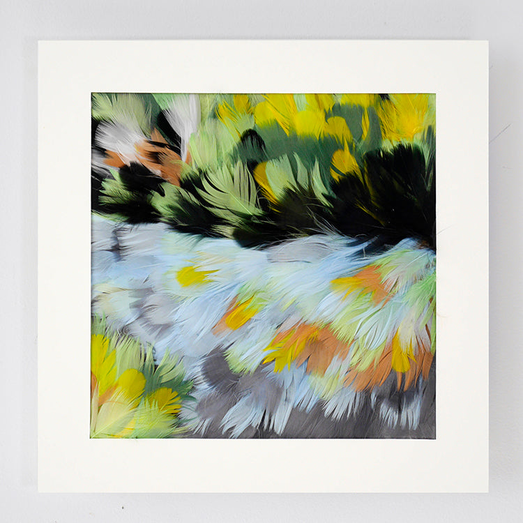 Paysage 5