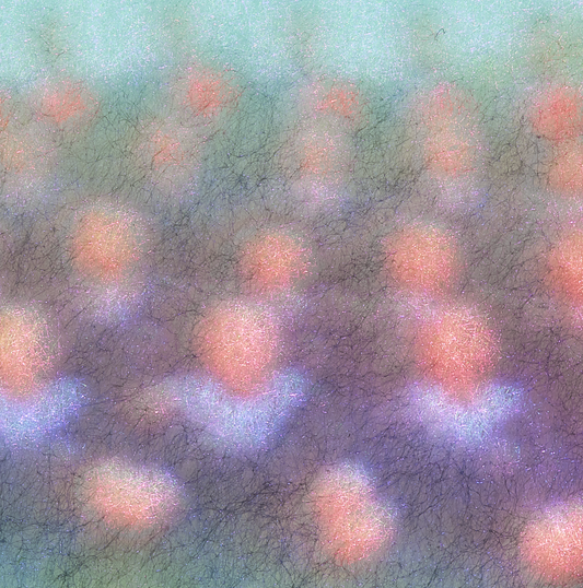20112011-13052024