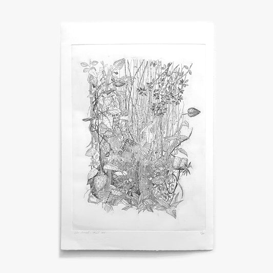 Forêt